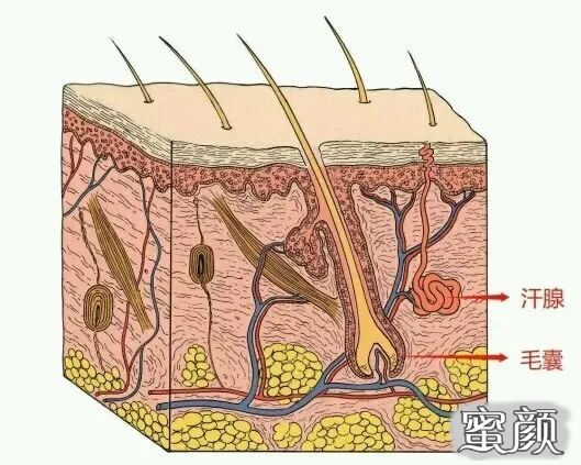 案例图片