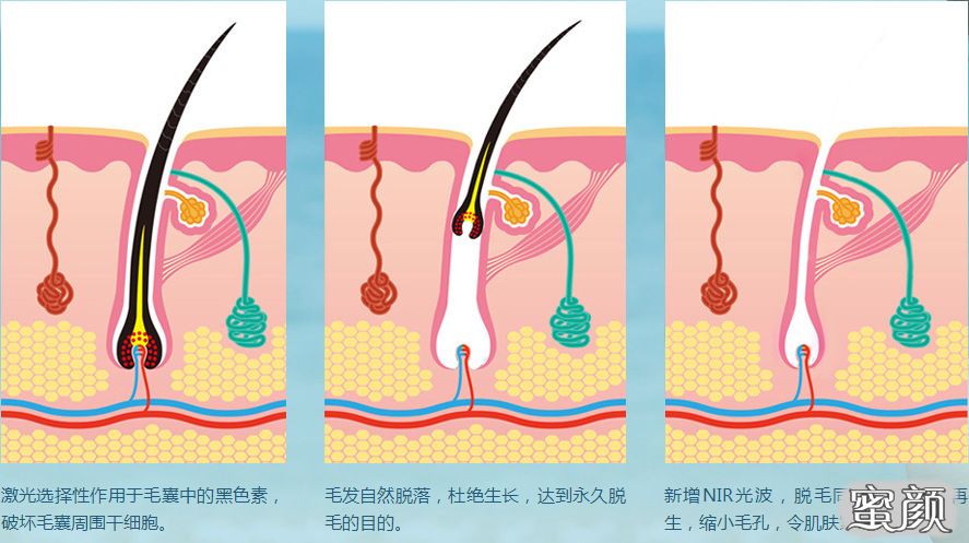 https://img.yiyiaimei.com/mnt/timg/210513/1210001411-0.jpg