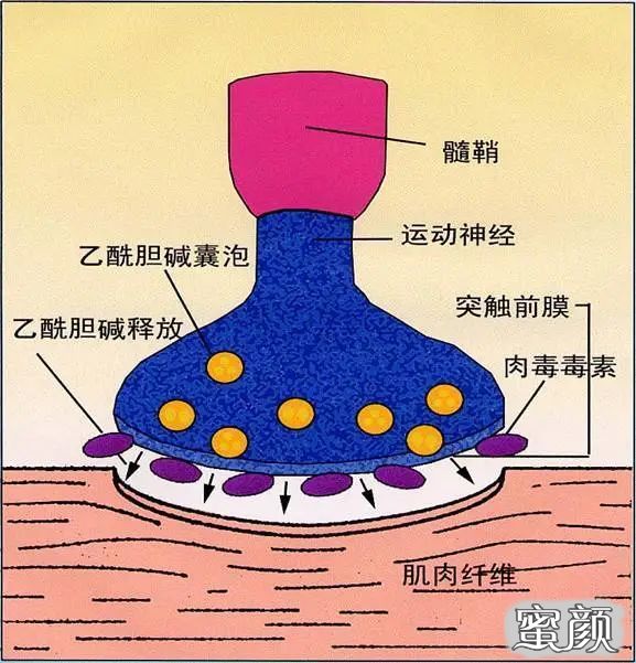 案例图片