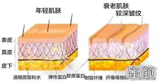 案例图片