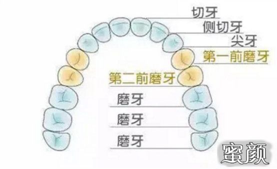 案例图片