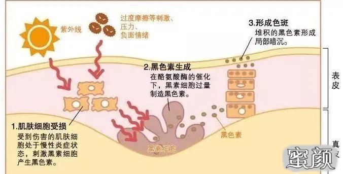 案例图片