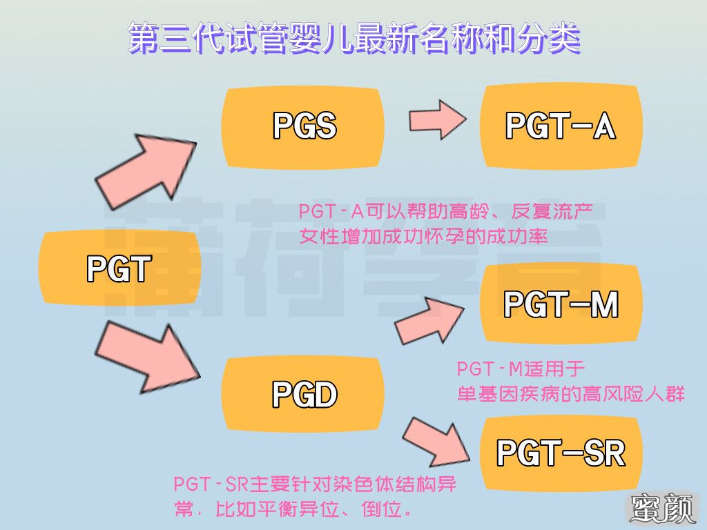 案例图片