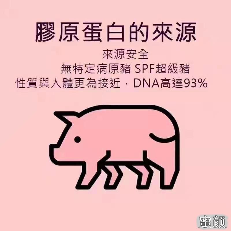 案例图片