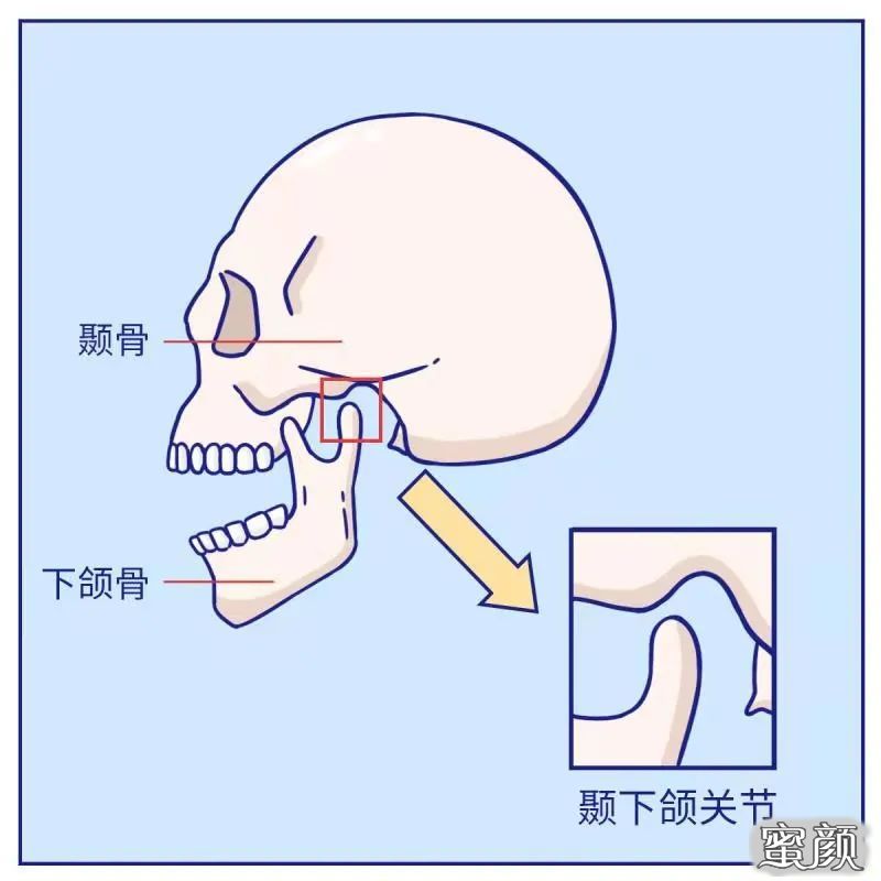 案例图片