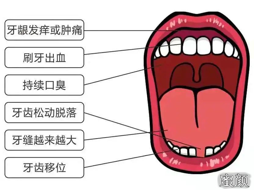 案例图片