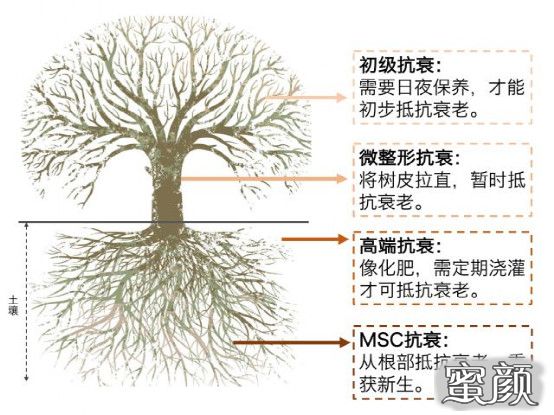 案例图片