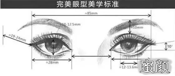 案例图片