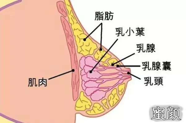 案例图片