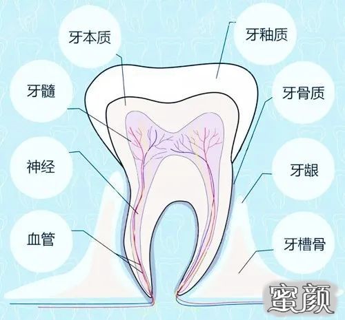 案例图片