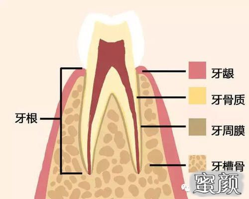 案例图片