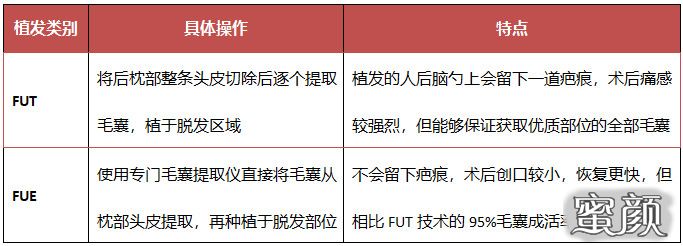 https://img.yiyiaimei.com/mnt/timg/210701/11564C437-4.jpg