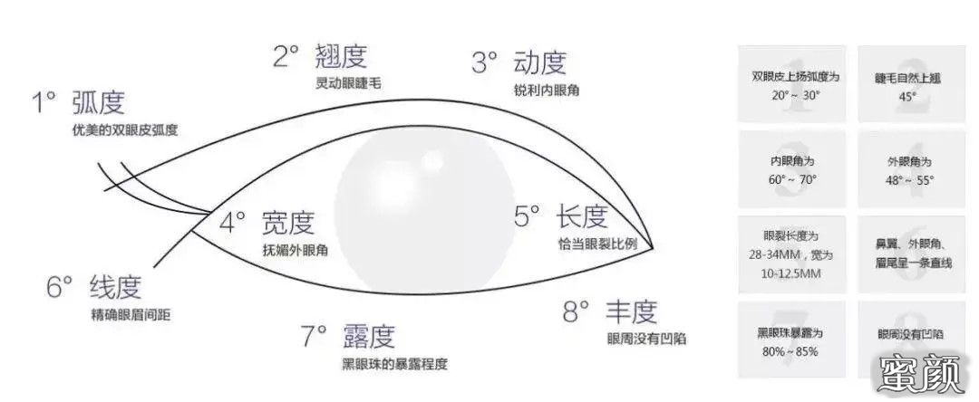 案例图片