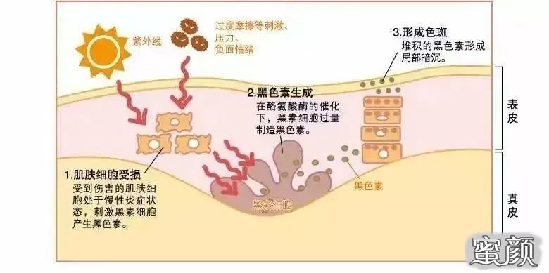 案例图片