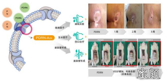 案例图片