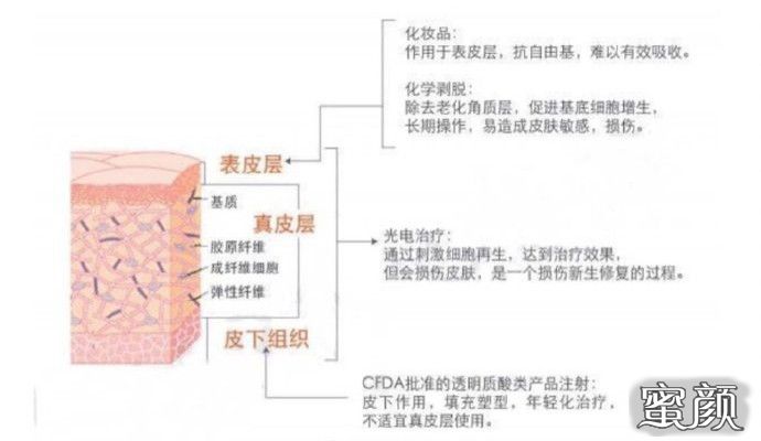 案例图片