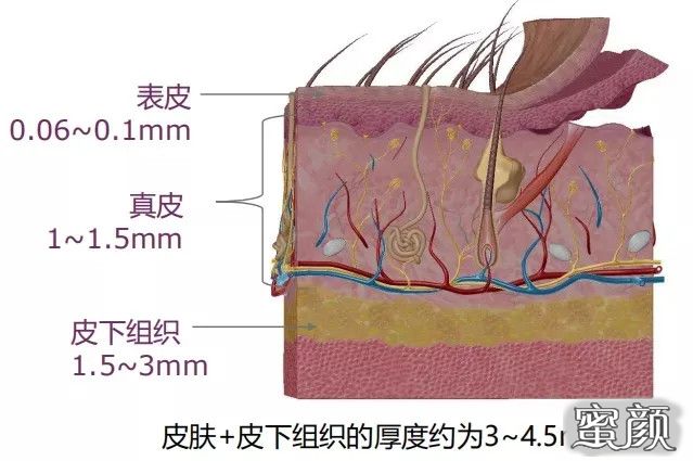 案例图片