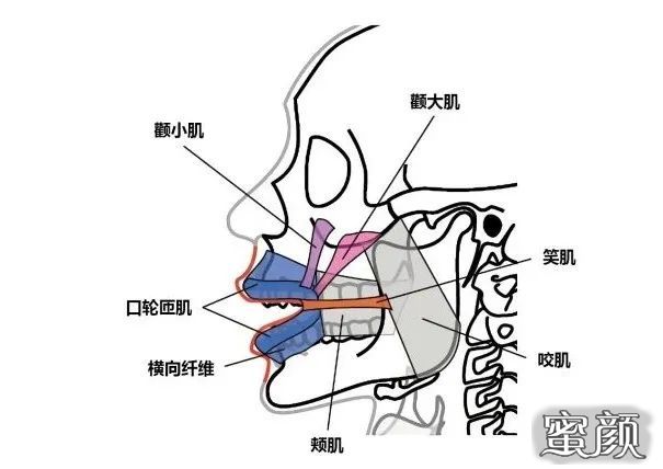 案例图片