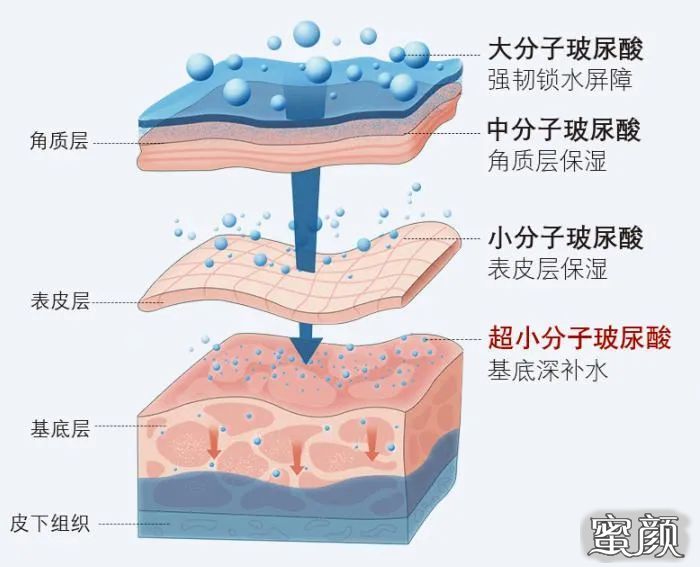 案例图片