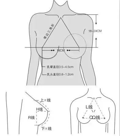 案例图片