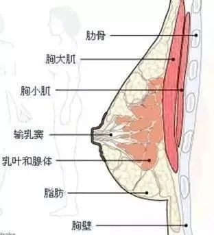 案例图片