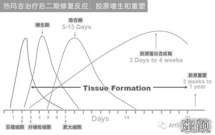 案例图片