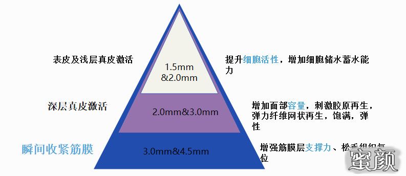 案例图片