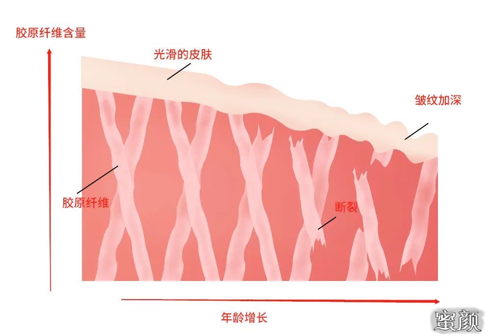 案例图片