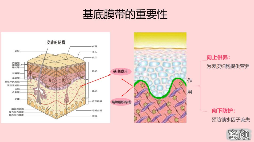 案例图片