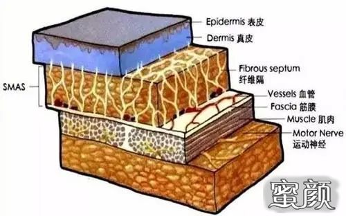 案例图片