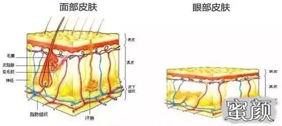 案例图片