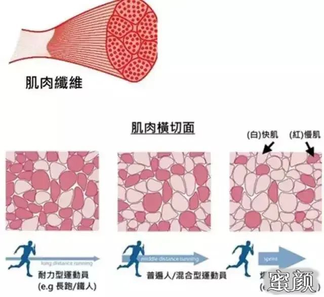 案例图片