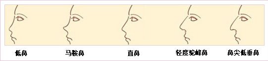 案例图片