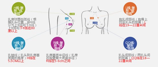 案例图片