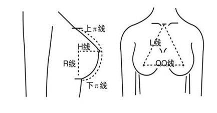 案例图片