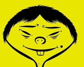 案例图片