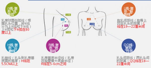 案例图片